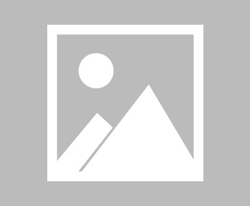  美因茨门将连续五场零封，创队史德甲最佳纪录  